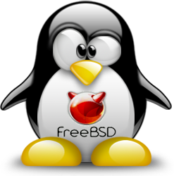 penguin pingouin pinguino 925